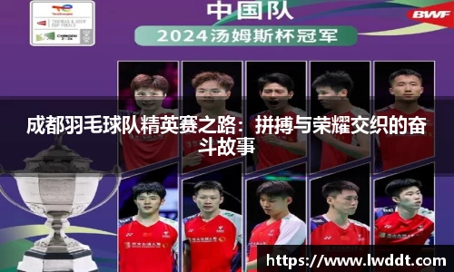 成都羽毛球队精英赛之路：拼搏与荣耀交织的奋斗故事